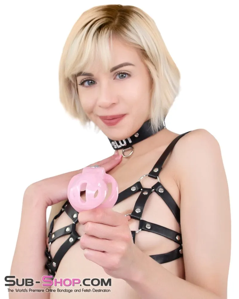 7141M-SIS      Sissy Clit Lock Long Pink Cock Cage with Lead Ring and Medium Cock Cuff Ring