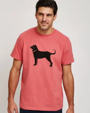 Adult Classic MV 2025 Shortsleeve Tee