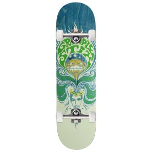 Anti-Hero Grimplestix Gerwer Litho Skateboard Complete - 8.50"