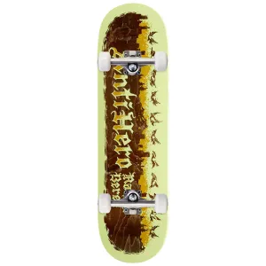 Anti-Hero Raney Pigeon Motion Skateboard Complete - 8.62"