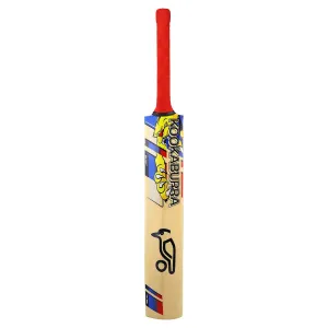 Beast Pro 9.0 Junior's Cricket Bat