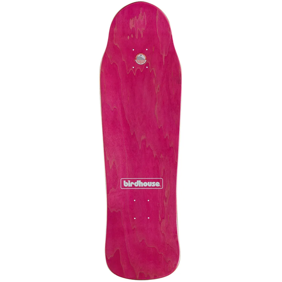 Birdhouse Hawk Gargoyle Skateboard Deck - 9.75"