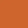 Burnside Bridge Skateboard Deck - Orange - 9.00"