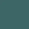 CCS Chain Web Egg1 Shaped Skateboard Complete - Teal - 9.00"