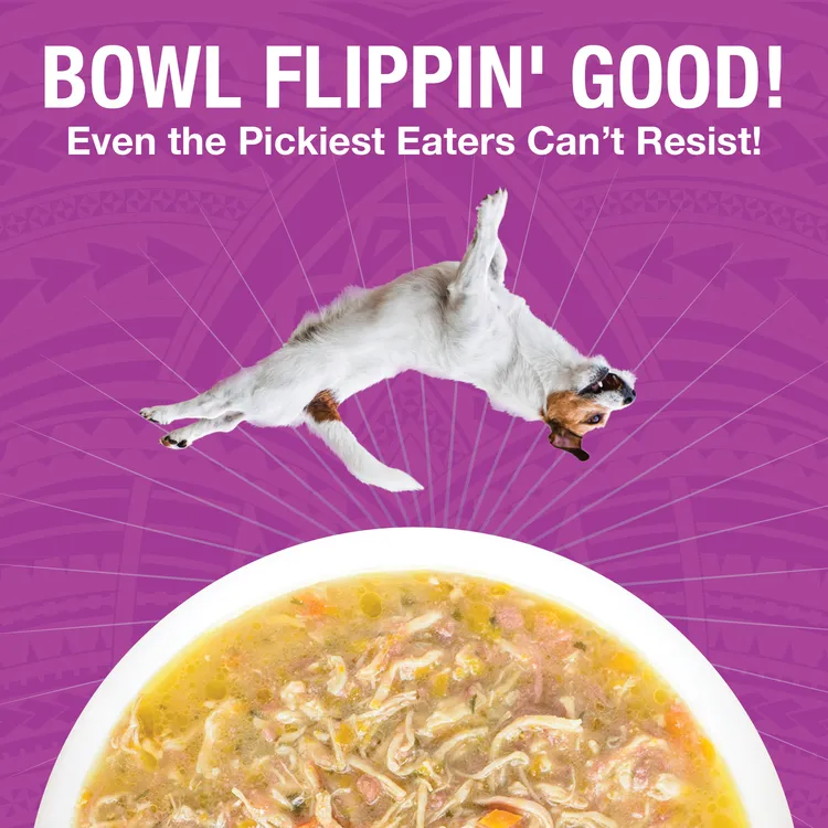 KOHA Pure Shreds Shredded Chicken Breast & Beef Entrée Canned Dog Food