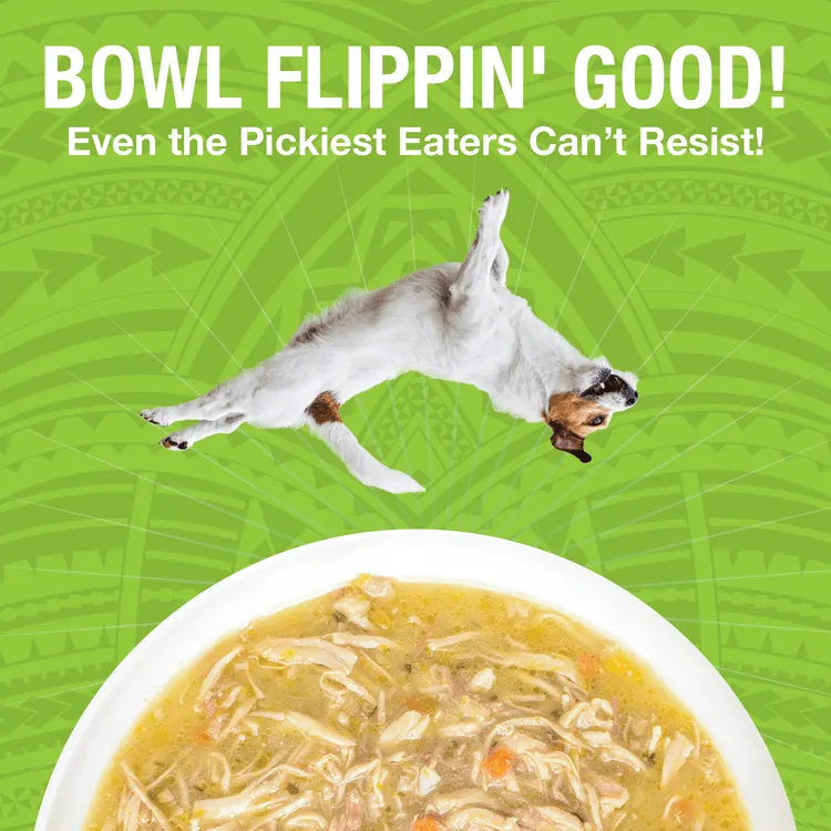 KOHA Pure Shreds Shredded Chicken Breast & Duck Entrée Canned Dog Food