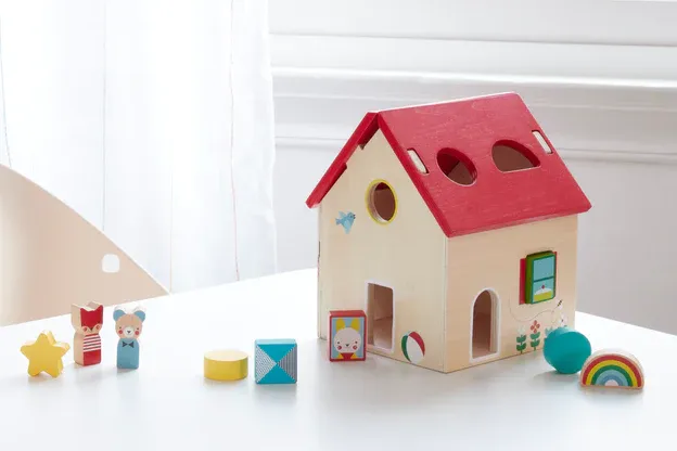 Shape Sorter Wooden Play Set