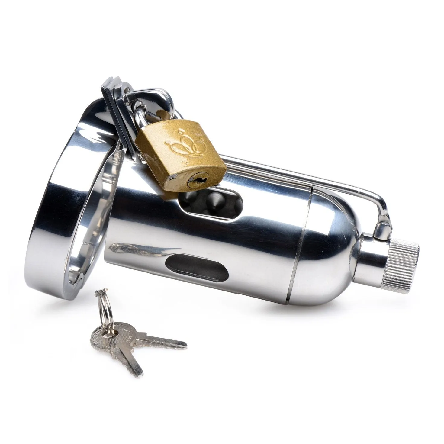 Spiked Chamber Chastity Cage