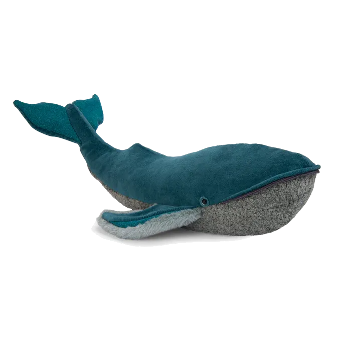 Whale, All Around the World